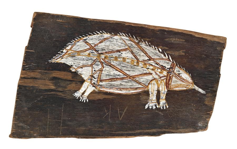 SACRED ECHIDNA