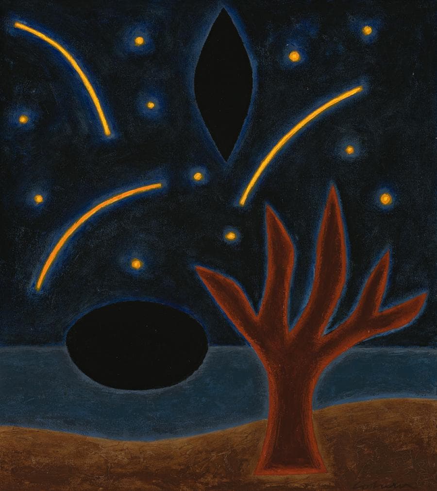 SHOOTING STARS, BYRON BAY