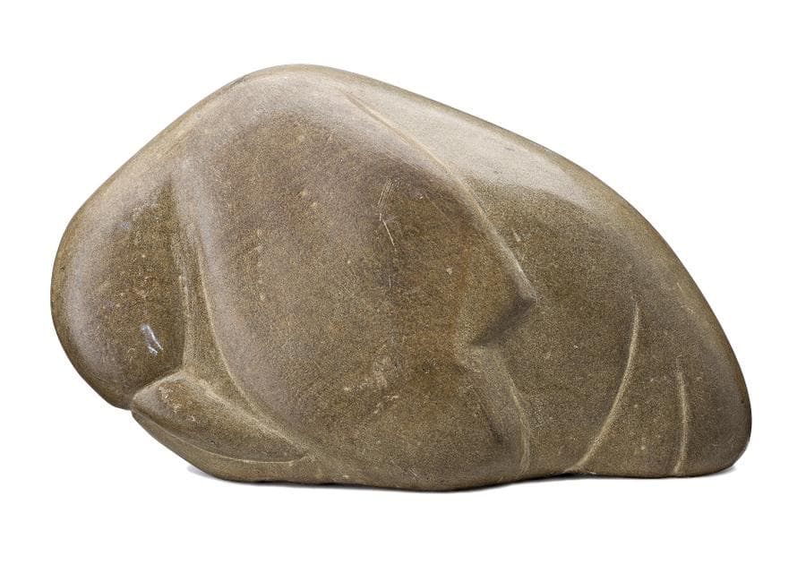 HEAD