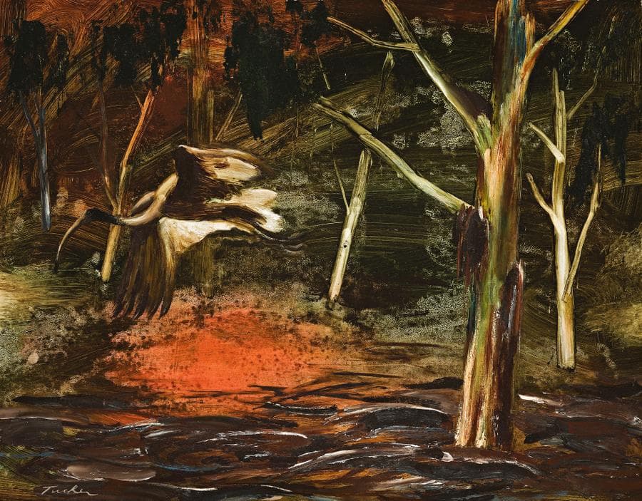 IBIS IN THE BUSH