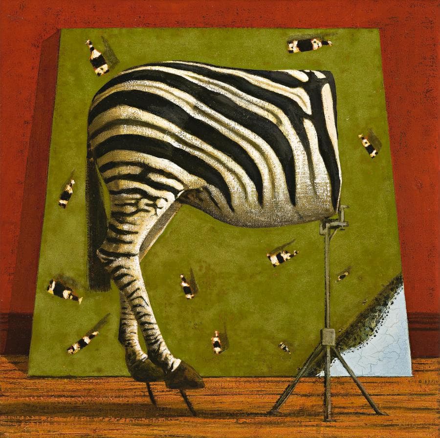 AERIAL VIEW AND HALF ZEBRA