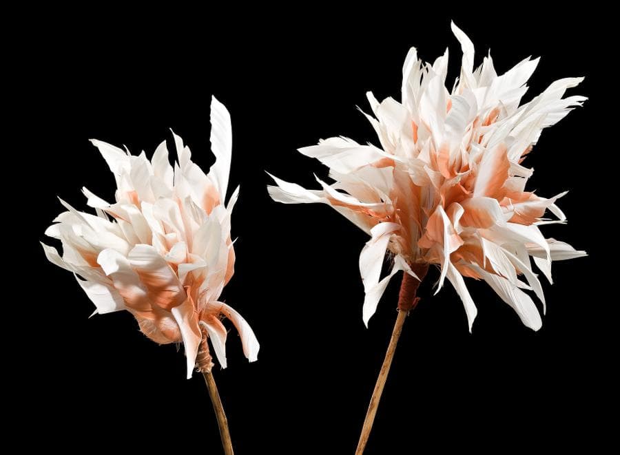 PAIR OF MEN’S CEREMONIAL FEATHERED HAIR PINS