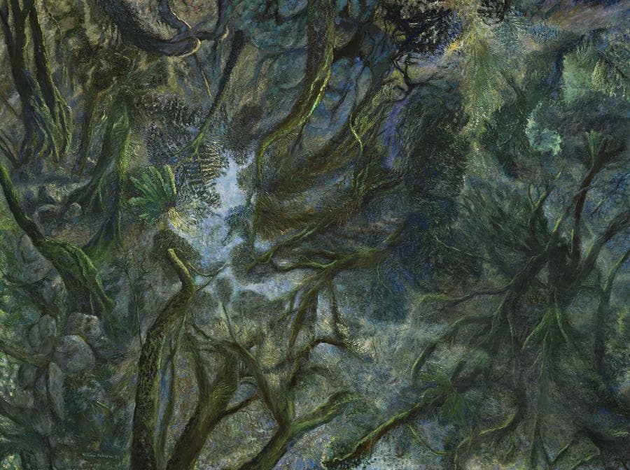 RAINFOREST WITH FILTERING SUNLIGHT