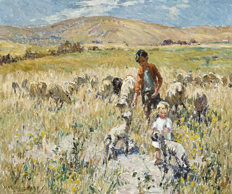 CHILDREN IN A FIELD WITH SHEEP