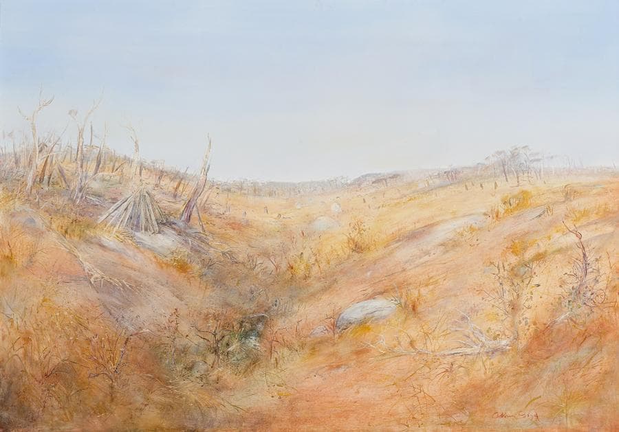 WIMMERA LANDSCAPE