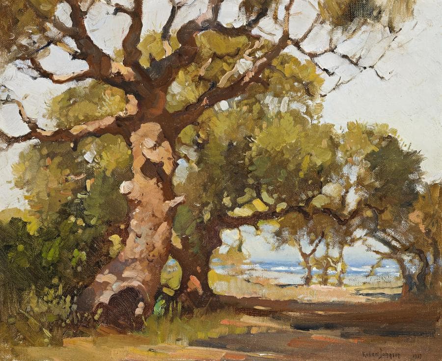 GUM TREE AT PALM BEACH