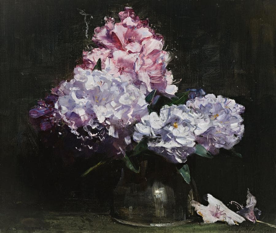 RHODODENDRON