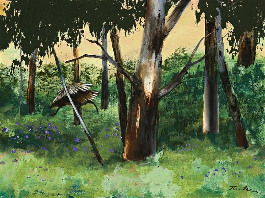 IBIS IN THE GULLY