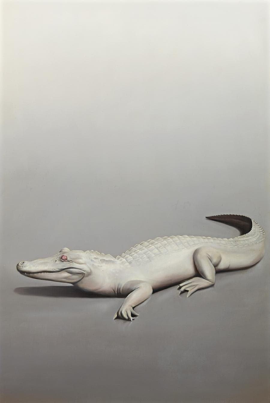 ALBINO MODUS PONENS AND LOWERS