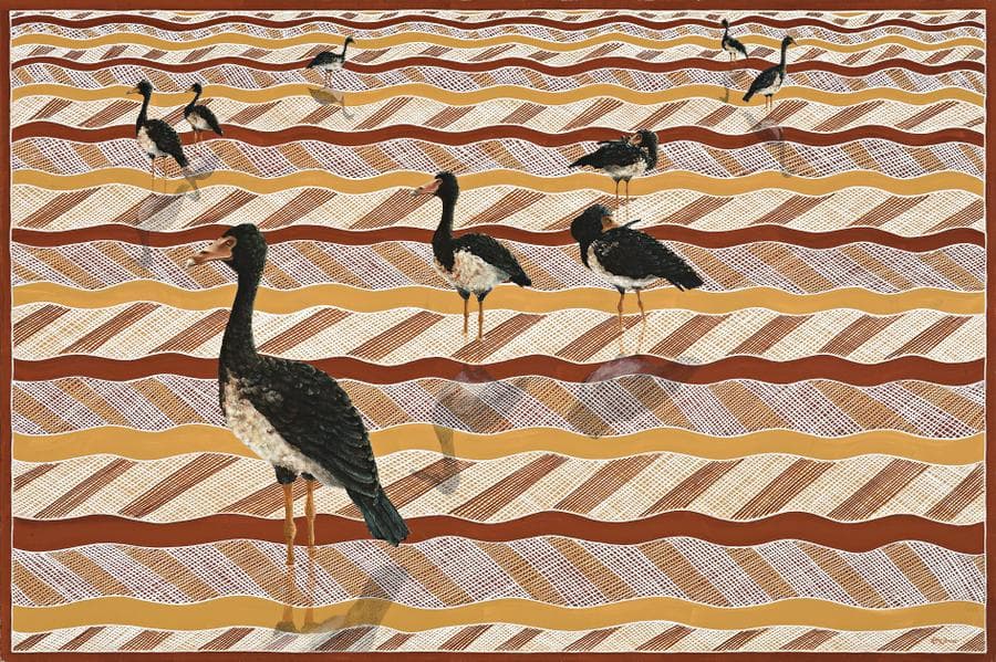 GUMINGI (MAGPIE GEESE)