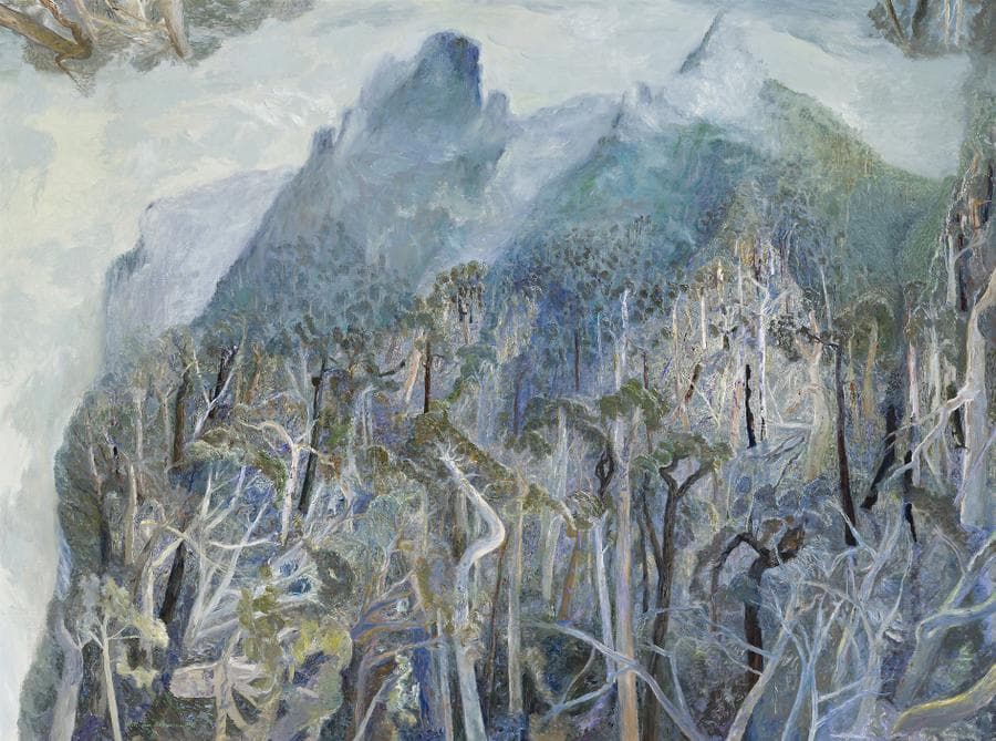 NIMBIN ROCKS IN FOG