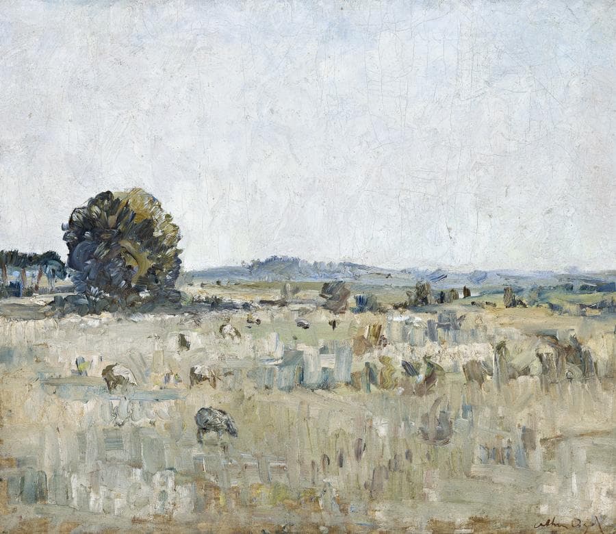 SHEEP GRAZING, ROSEBUD