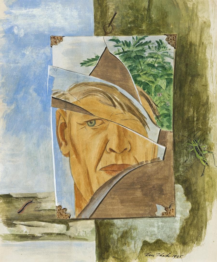 SELF PORTRAIT IN A BROKEN SHAVING MIRROR