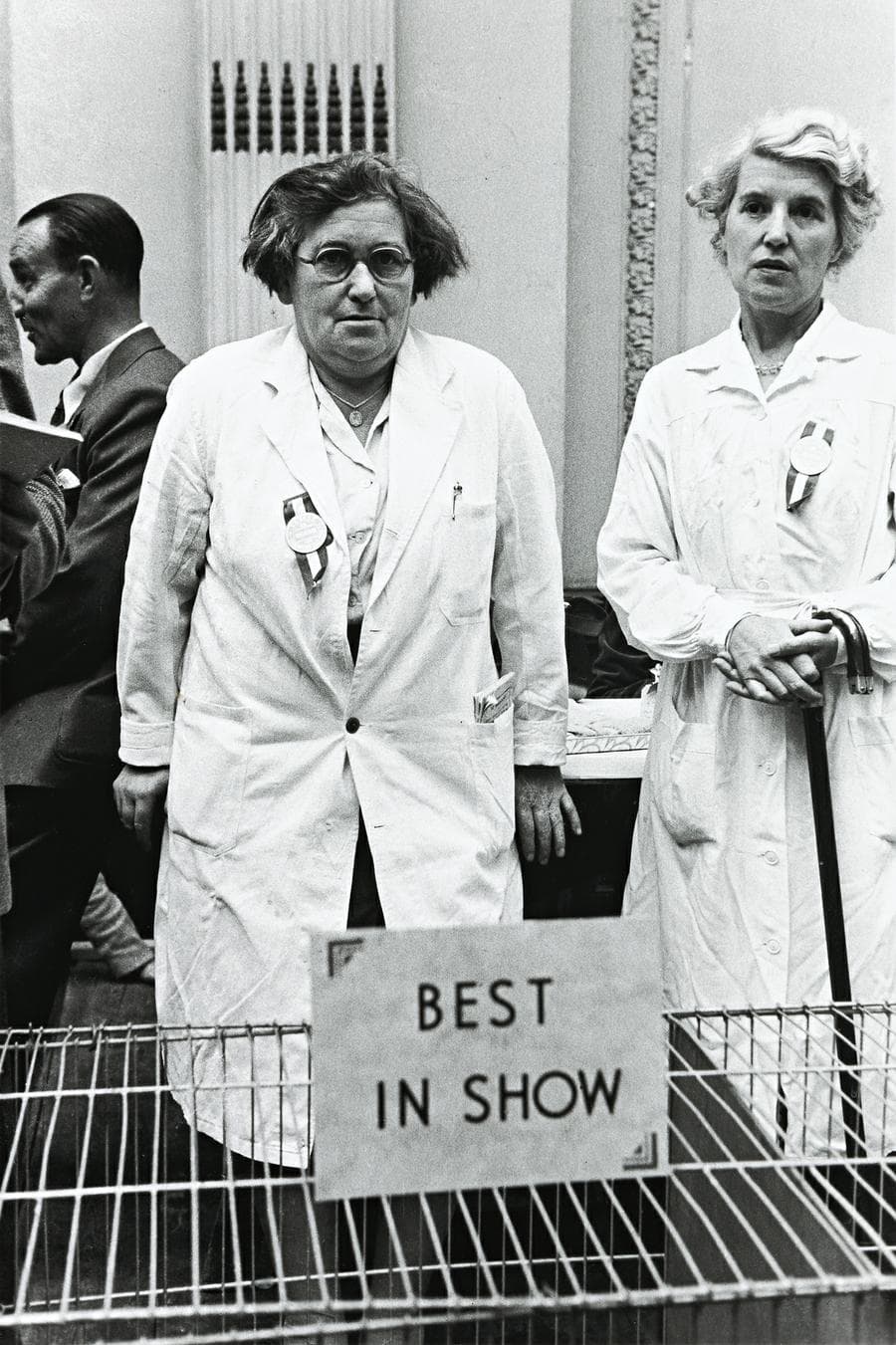 BEST IN SHOW, 1953 printed