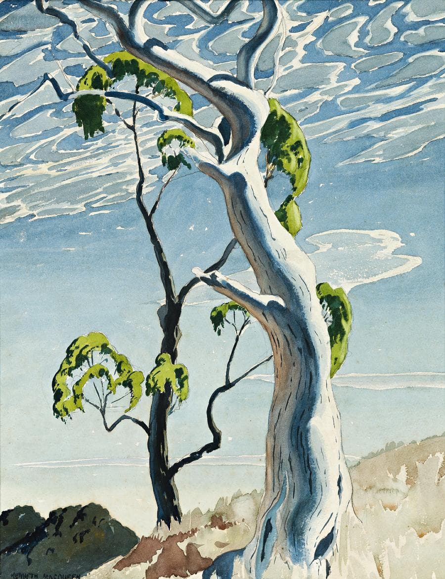 THE WHITE GUM TREE