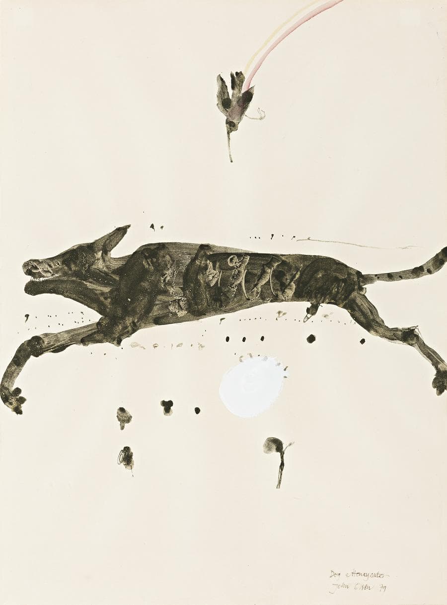 DOG AND HONEYEATER