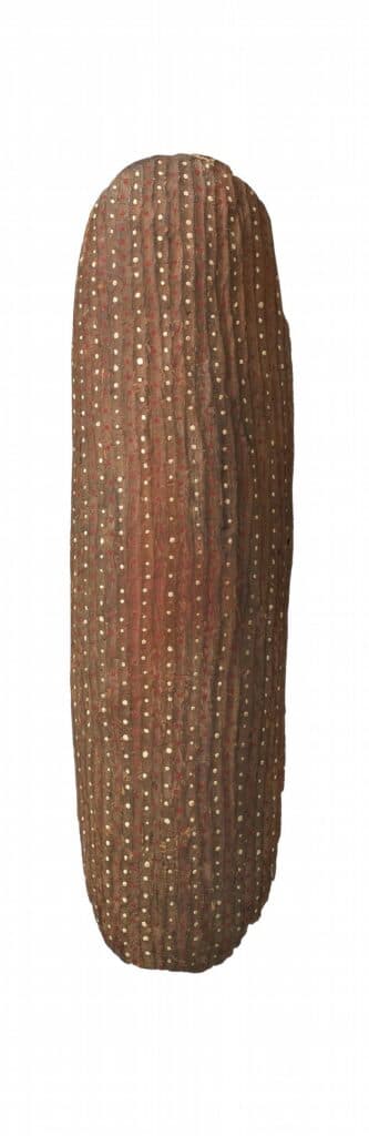 CENTRAL AUSTRALIAN