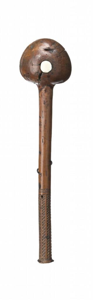 (FIJI)