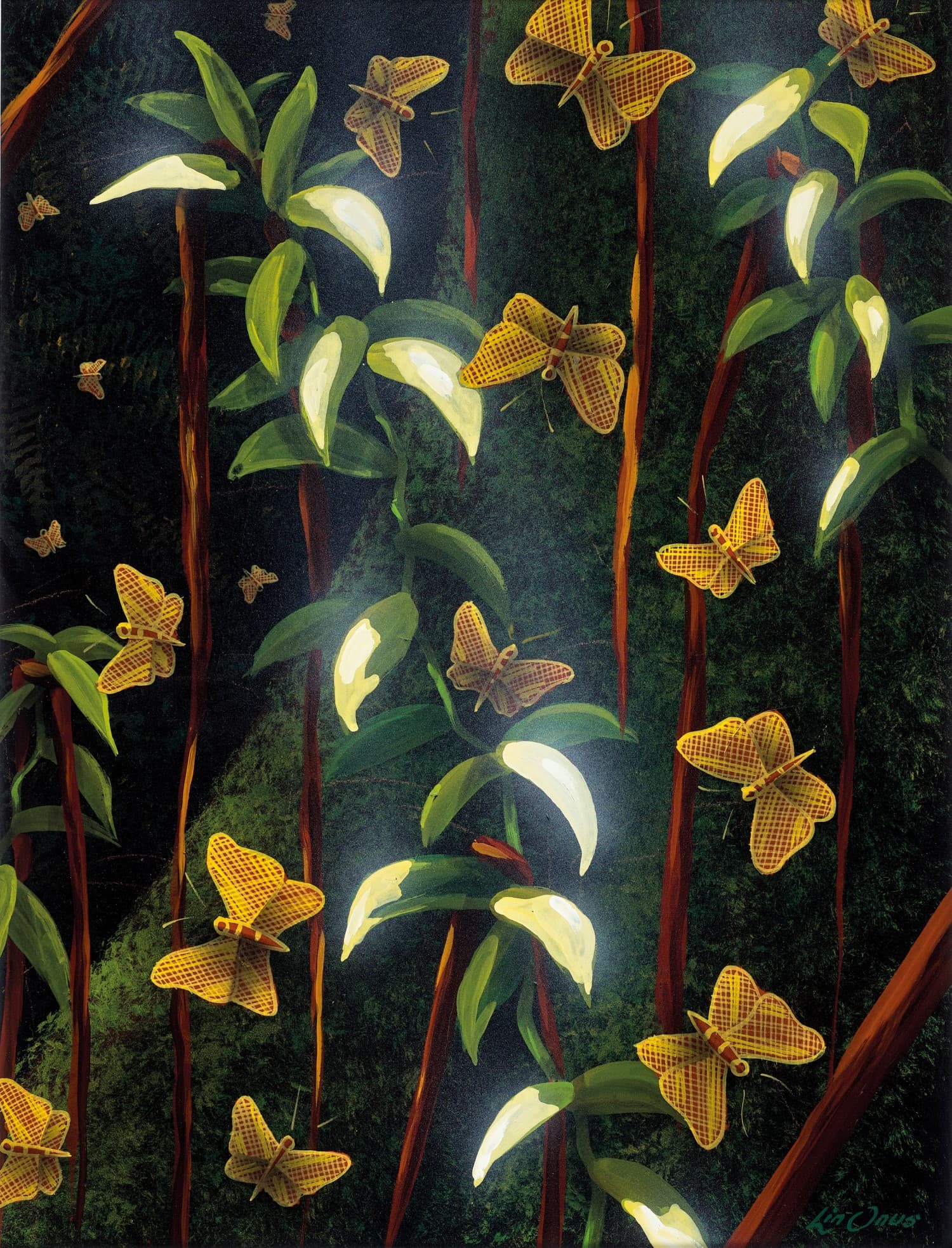 BIRRAKALA (BUTTERFLIES) AT NIGHT