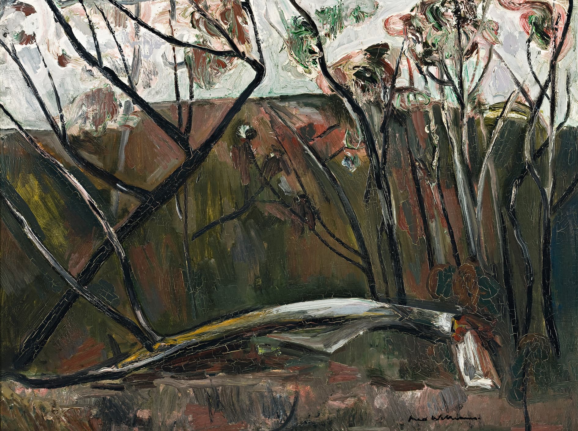 FALLEN TREE