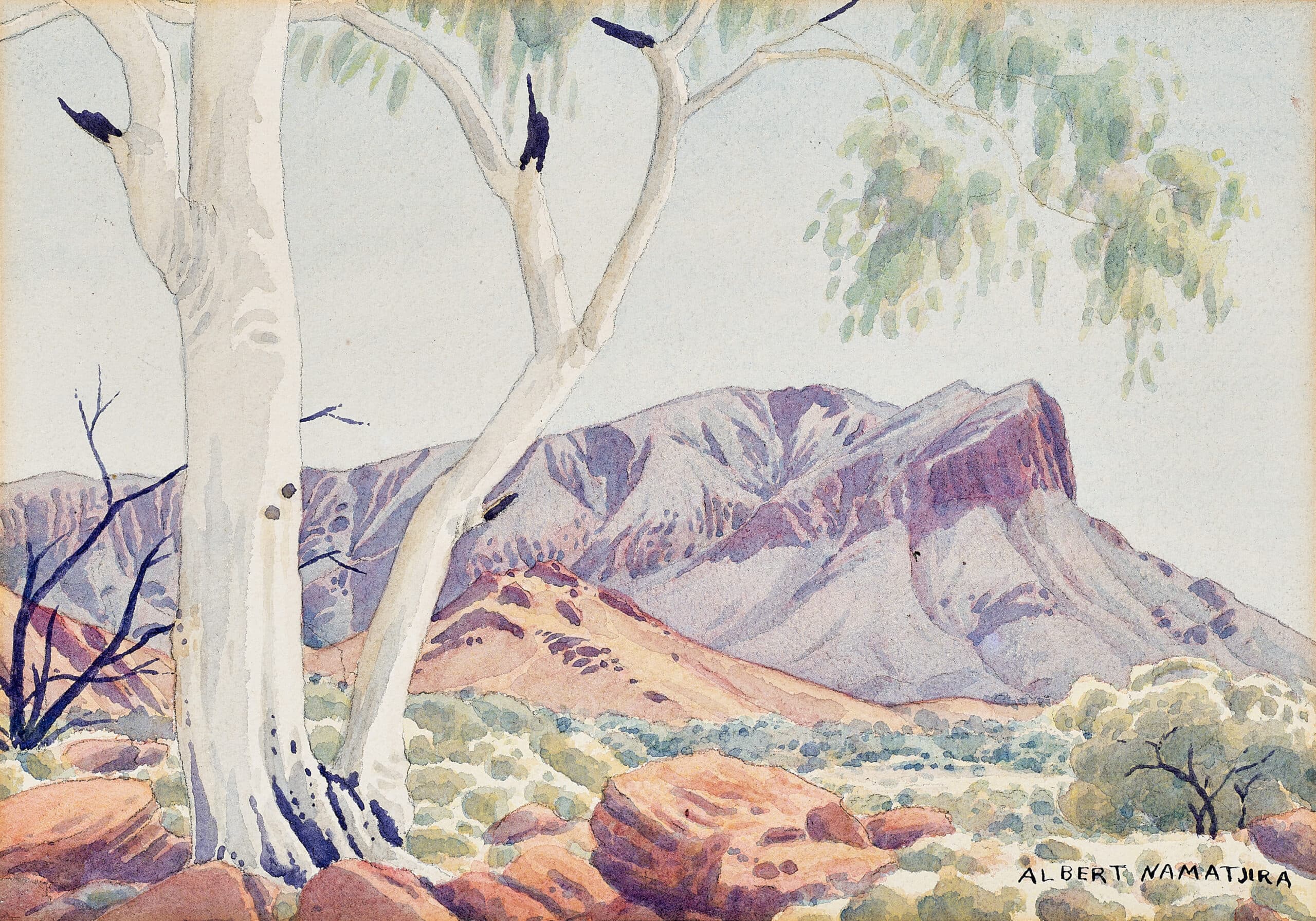 From suburban walls, old Namatjira watercolours deliver big time