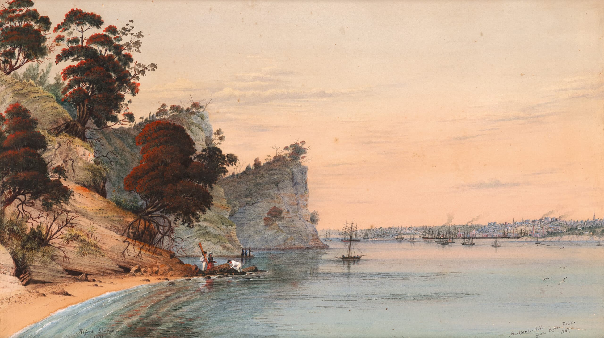 Auckland, New Zealand – from Kauri Point
