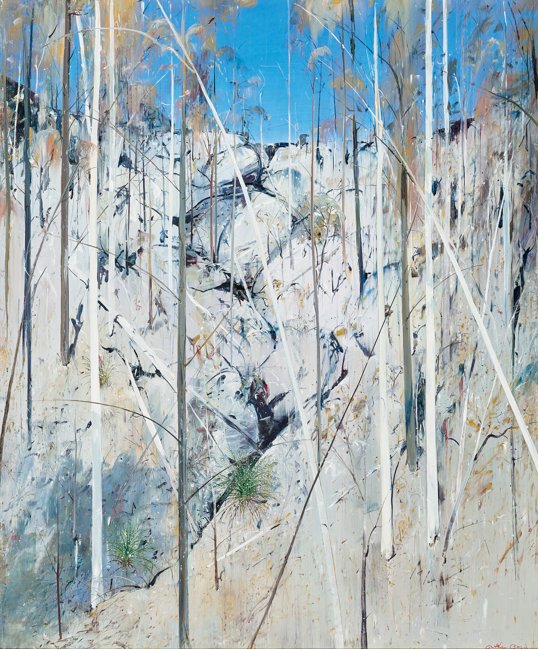 Hillside (Shoalhaven)