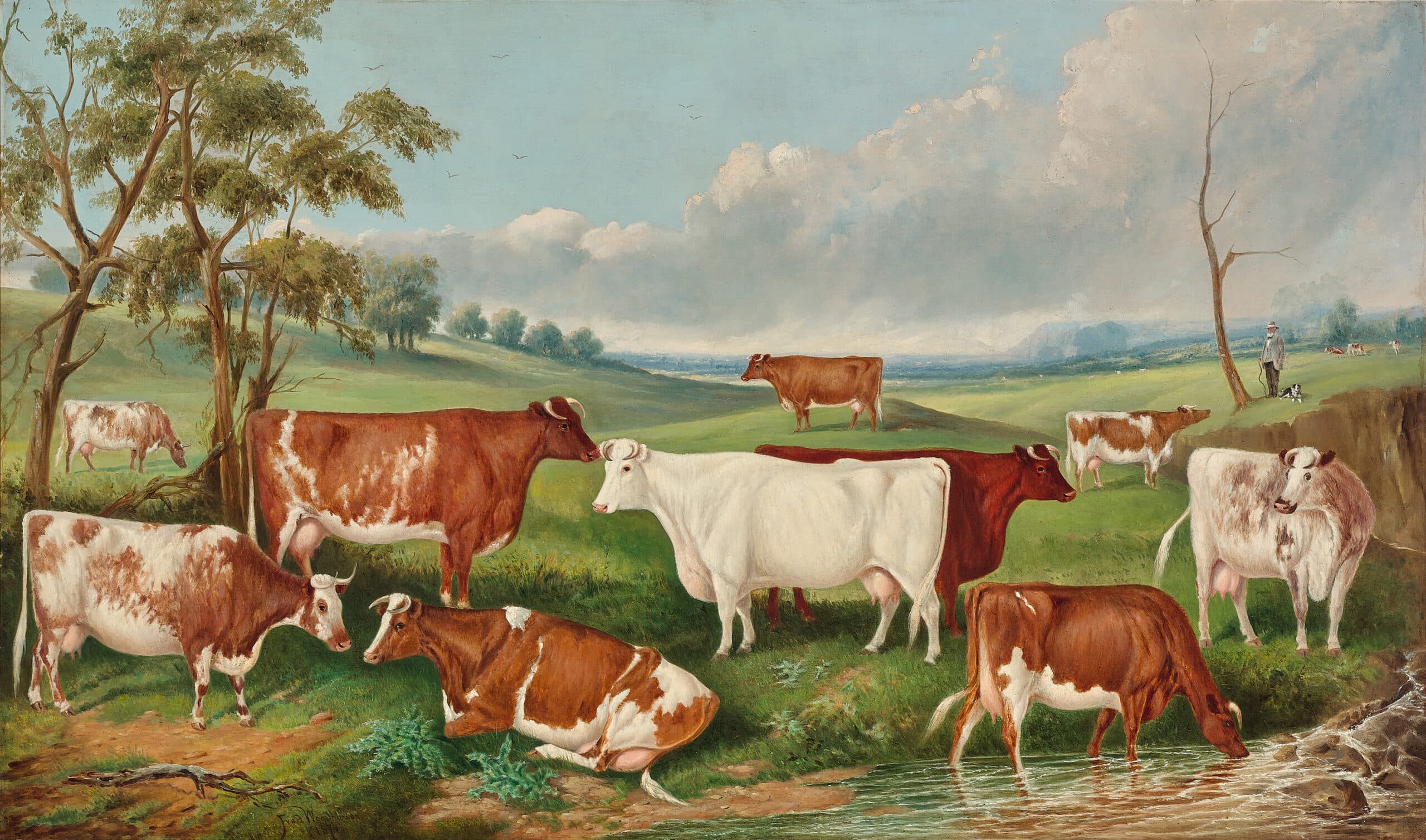 Mr Henry Stevenson’s herd, Niddrie, Essendon