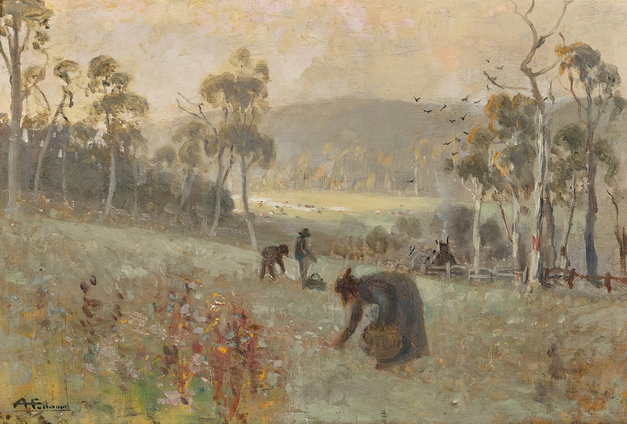 Gathering mushrooms