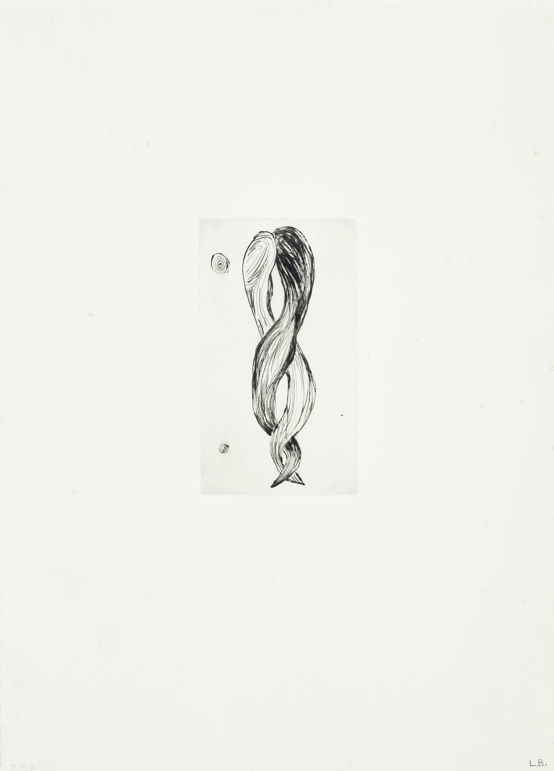 UNTITLED (ATTEMPT AT MEETING; HAIR)