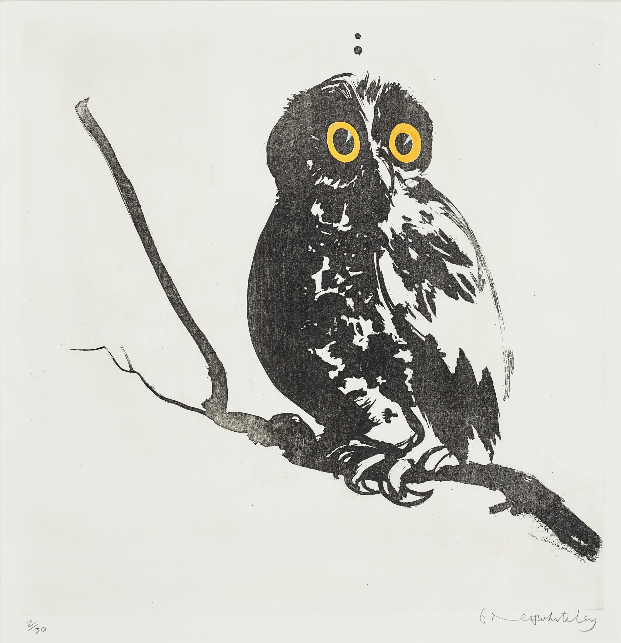 STARTLED (OWL)