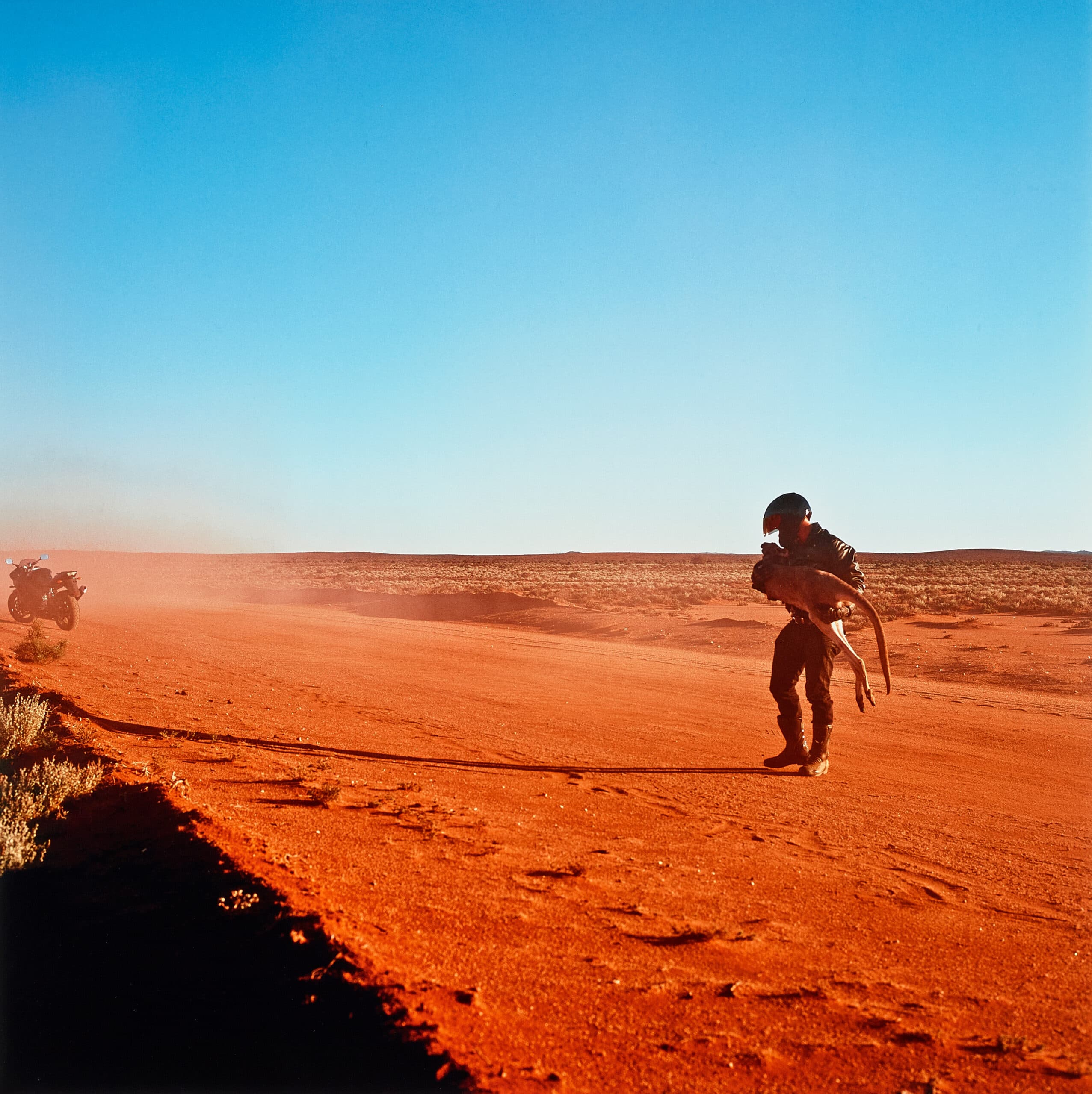 APOLOGY TO ROADKILL: DAYDREAM MINE ROAD