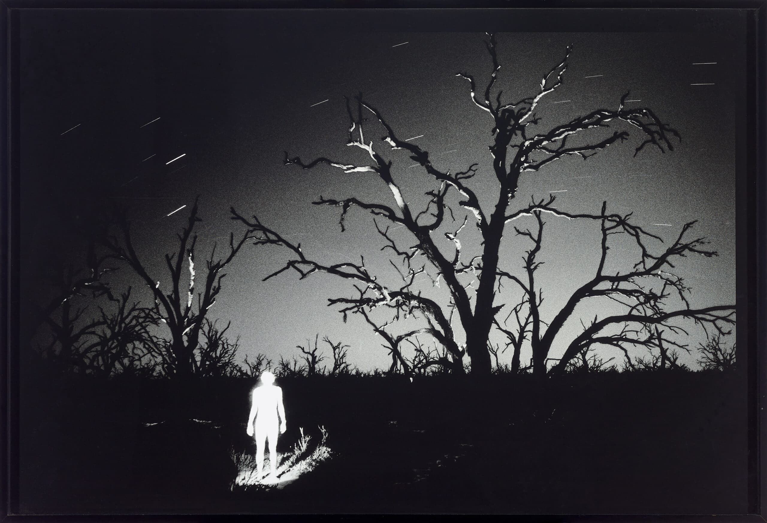 MIDNIGHT SELF PORTRAIT, MENINDEE, OUTBACK NSW