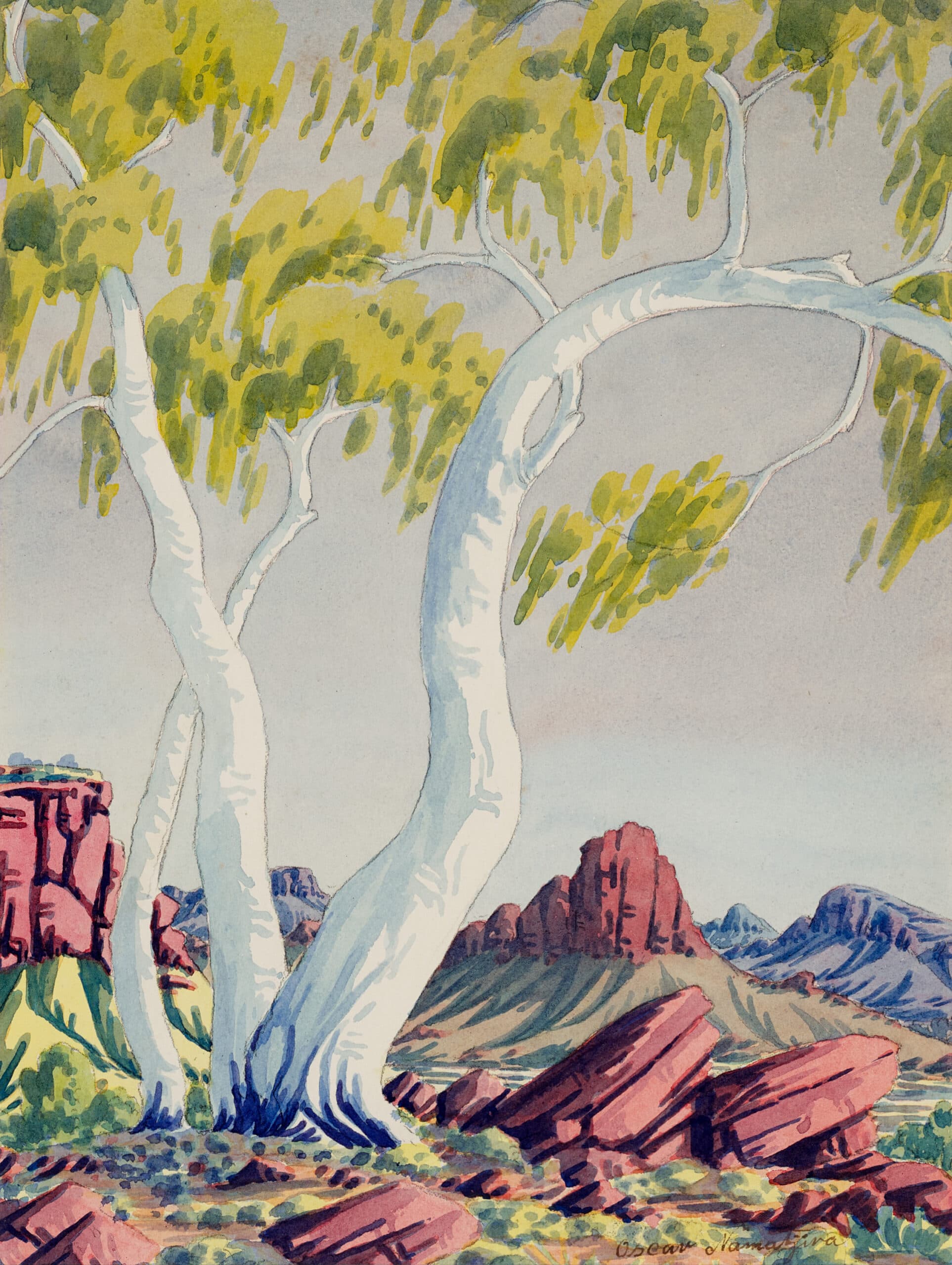 GUM TREE, CENTRAL AUSTRALIAN LANDSCAPE