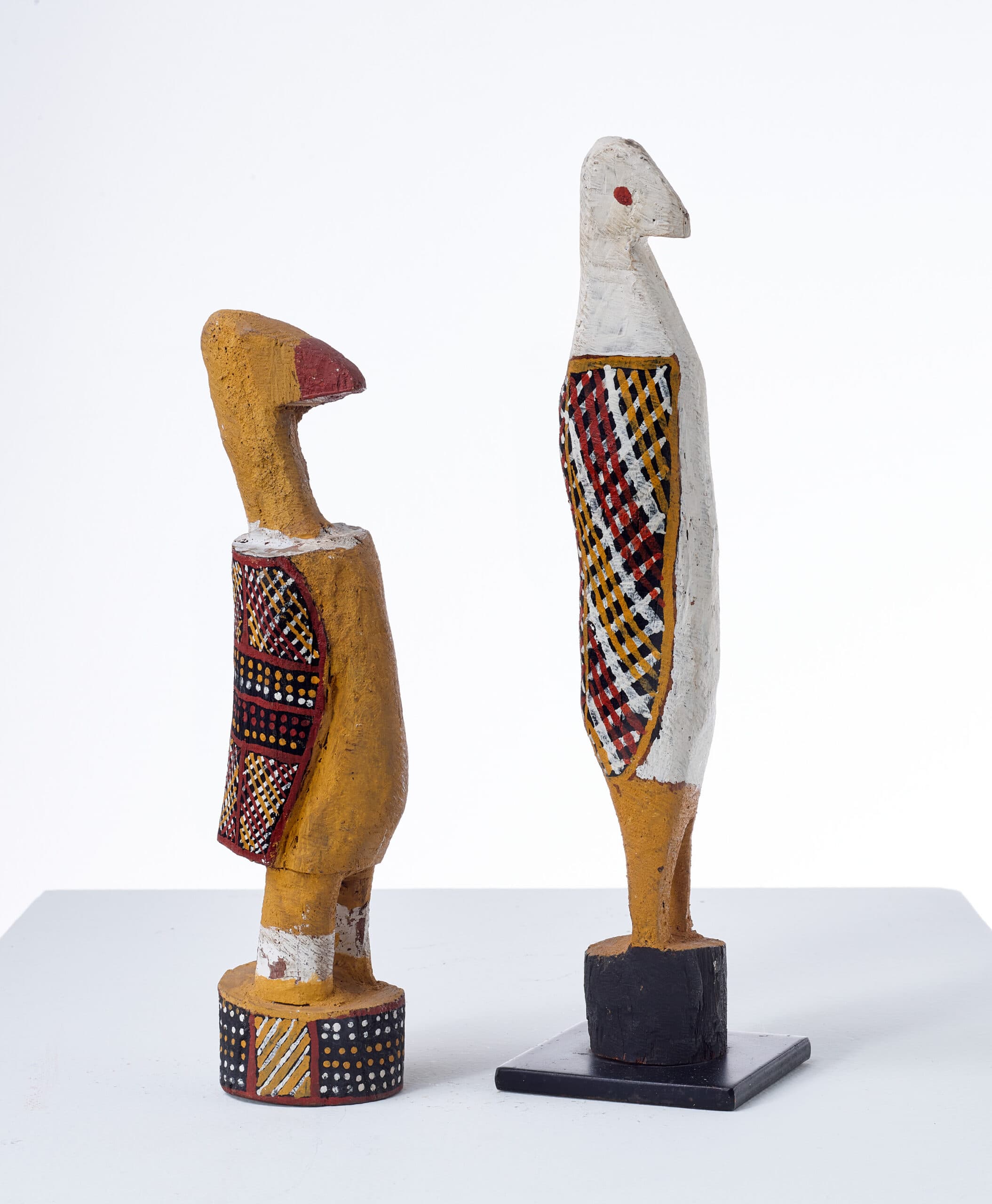 A PAIR OF TIWI BIRDS