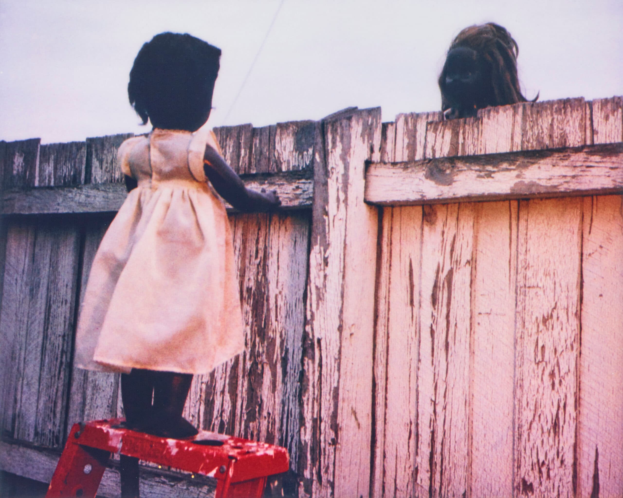 OVER THE FENCE