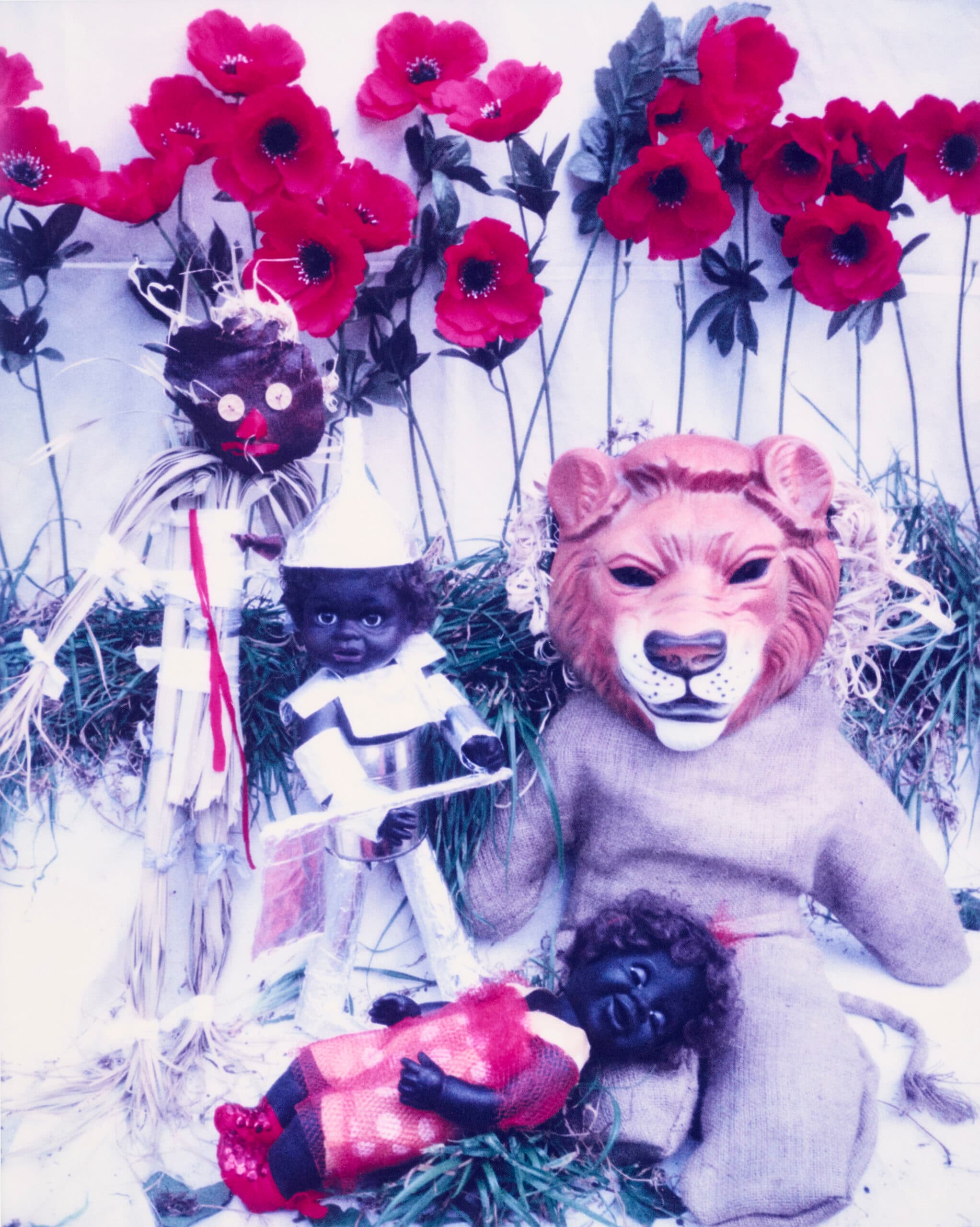 OZ GAMES – UNDER THE SPELL OF THE TALL POPPIES