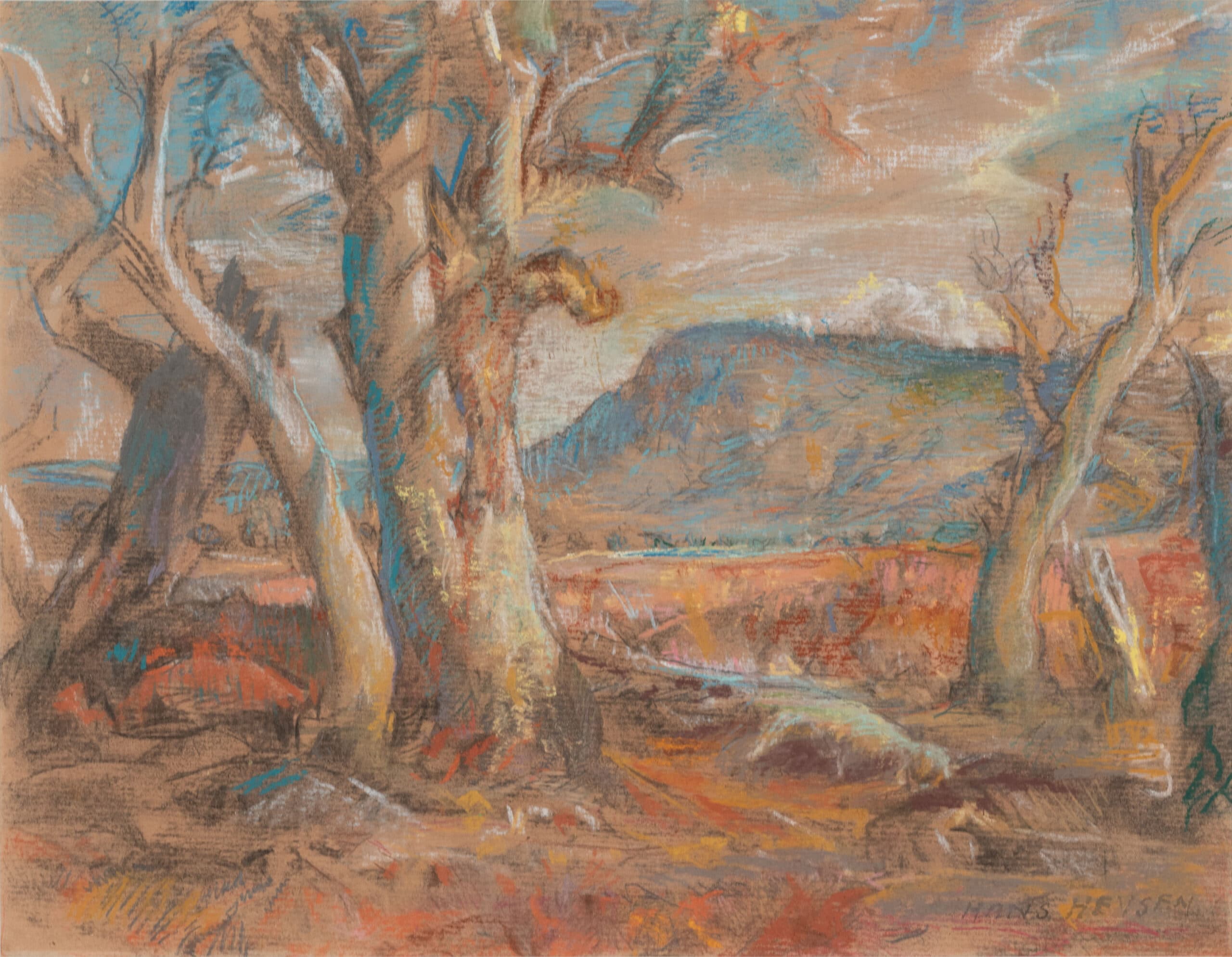 FLINDERS RANGES LANDSCAPE WITH GUMS