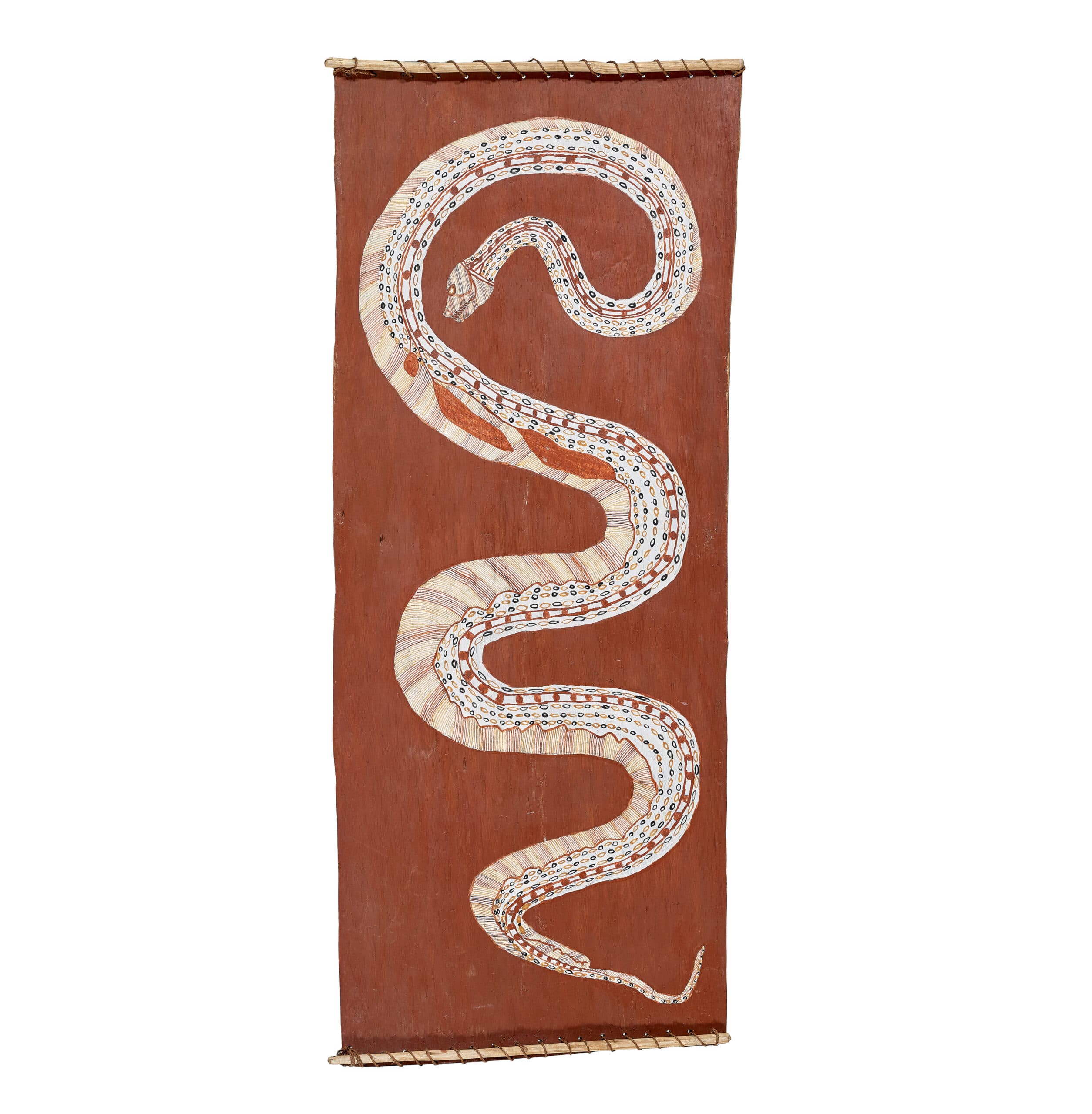 OENPELLI, ROCK PYTHON