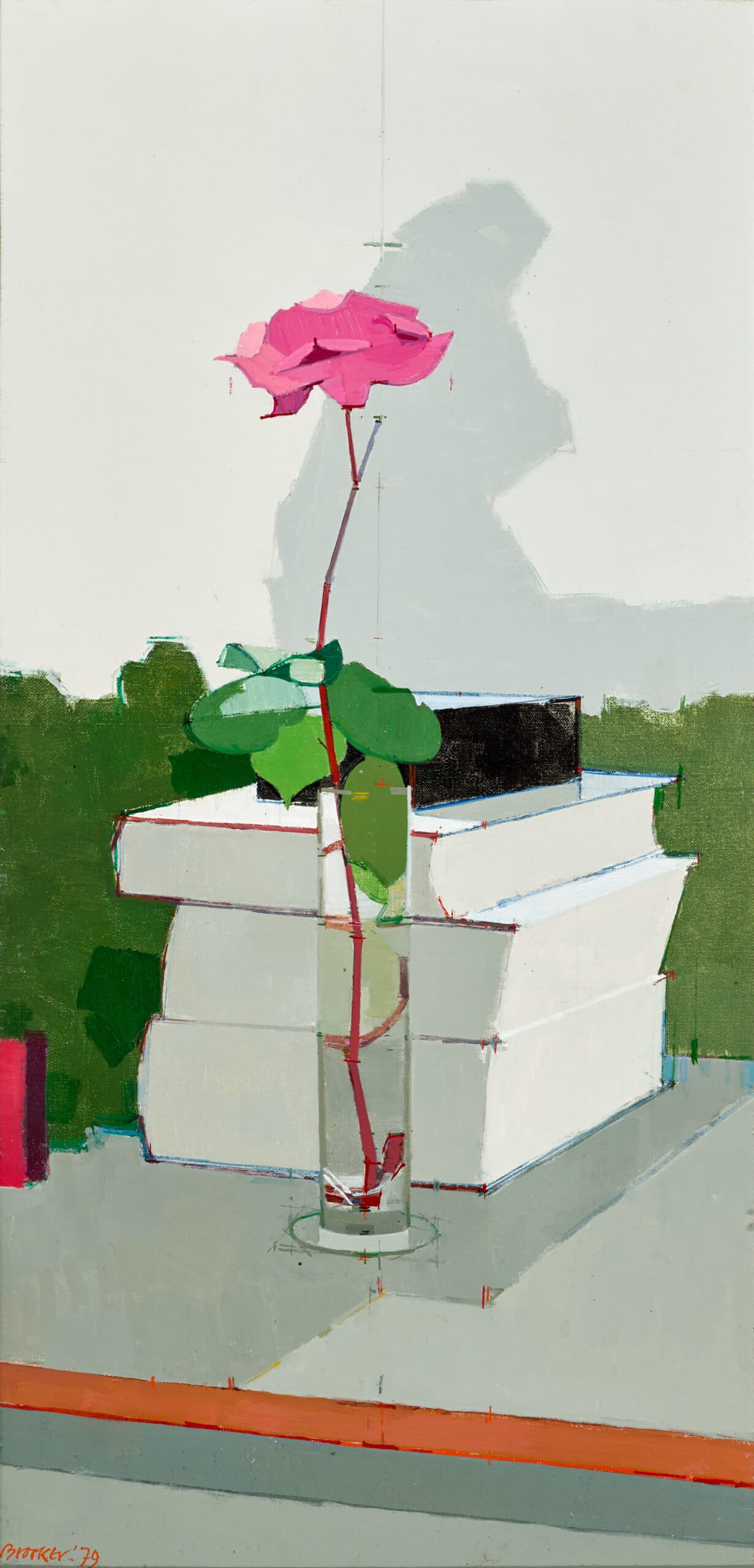 ROSE AGAINST THE LIGHT