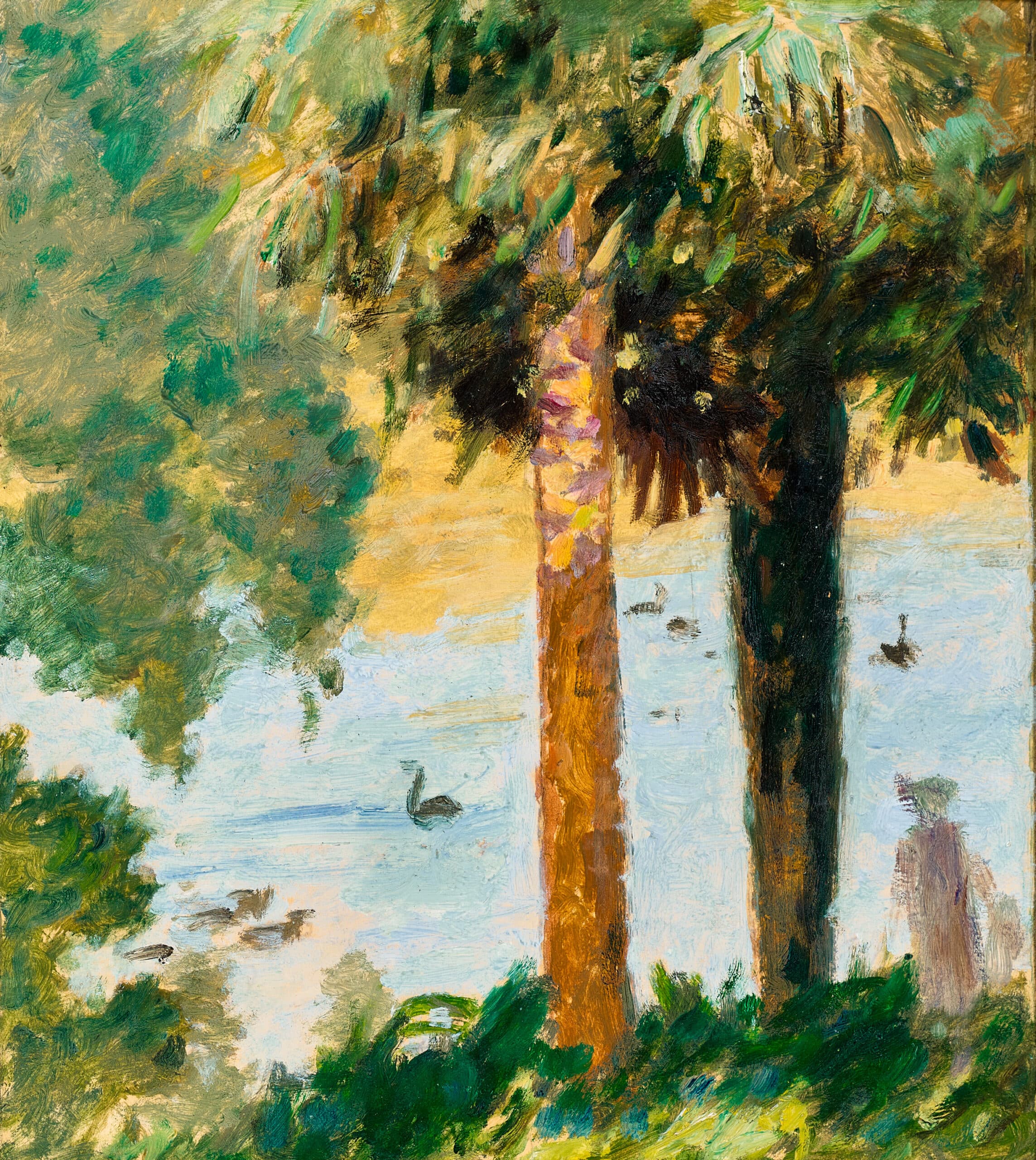 TWO PALM TREES (MELBOURNE BOTANIC GARDENS)