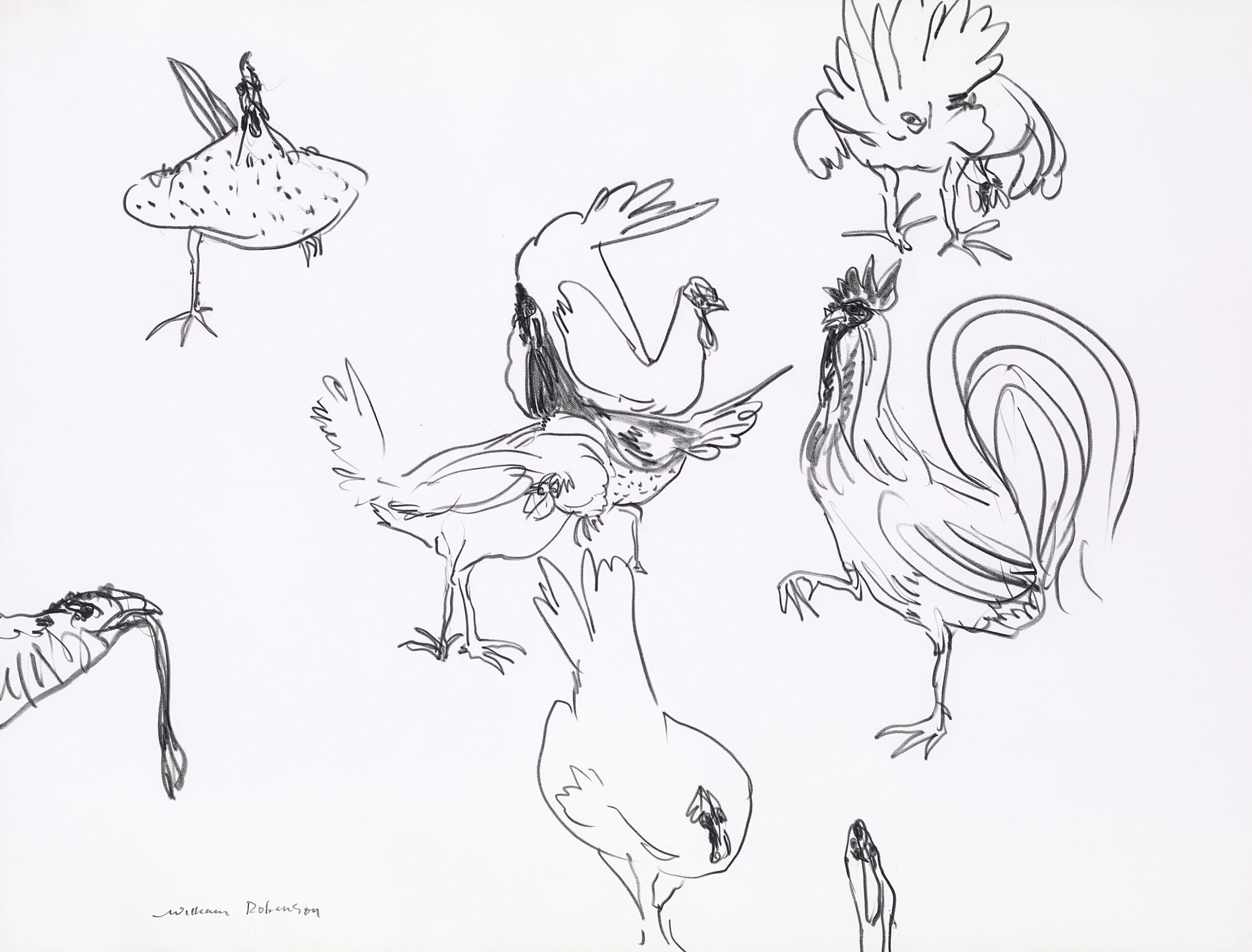 CHOOKS