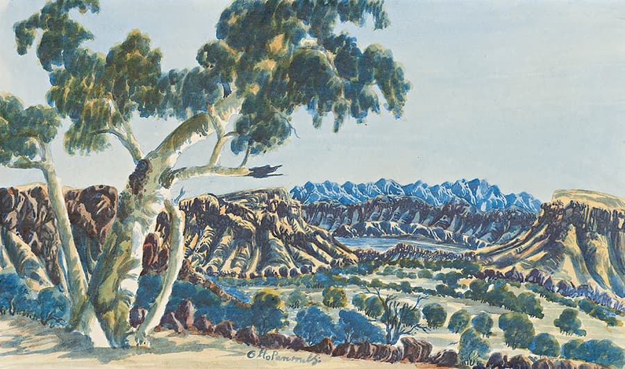 CENTRAL AUSTRALIAN LANDSCAPE