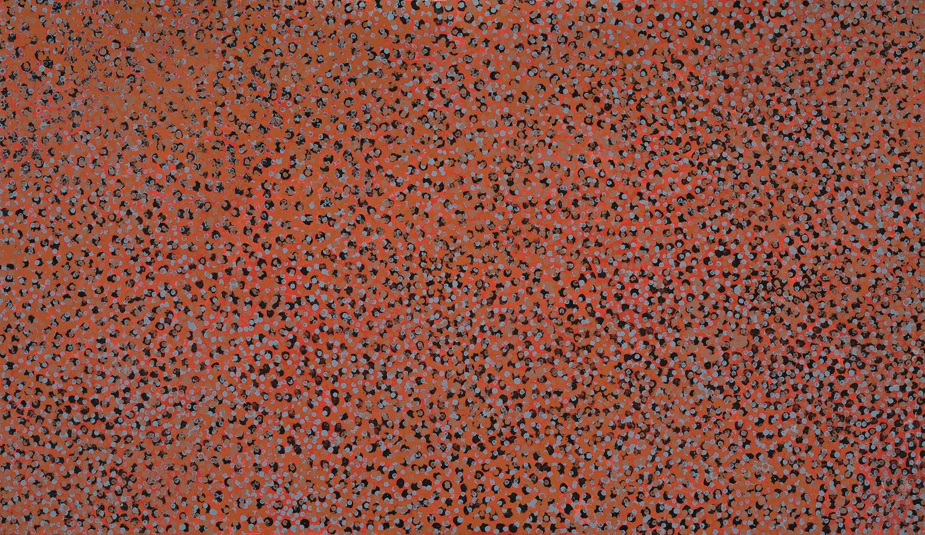 MERNE NDORKWA (WILD PLUM)