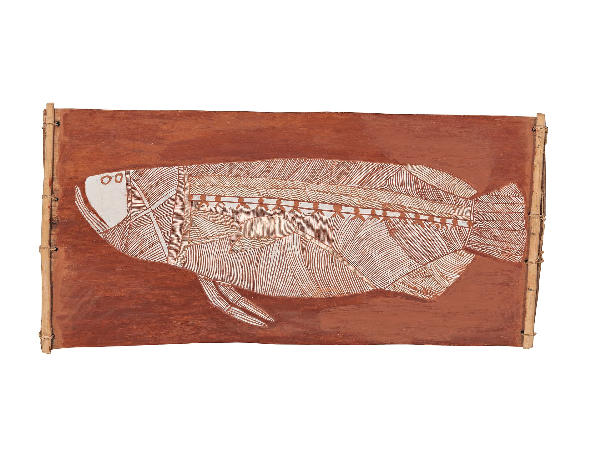 BARRAMUNDI
