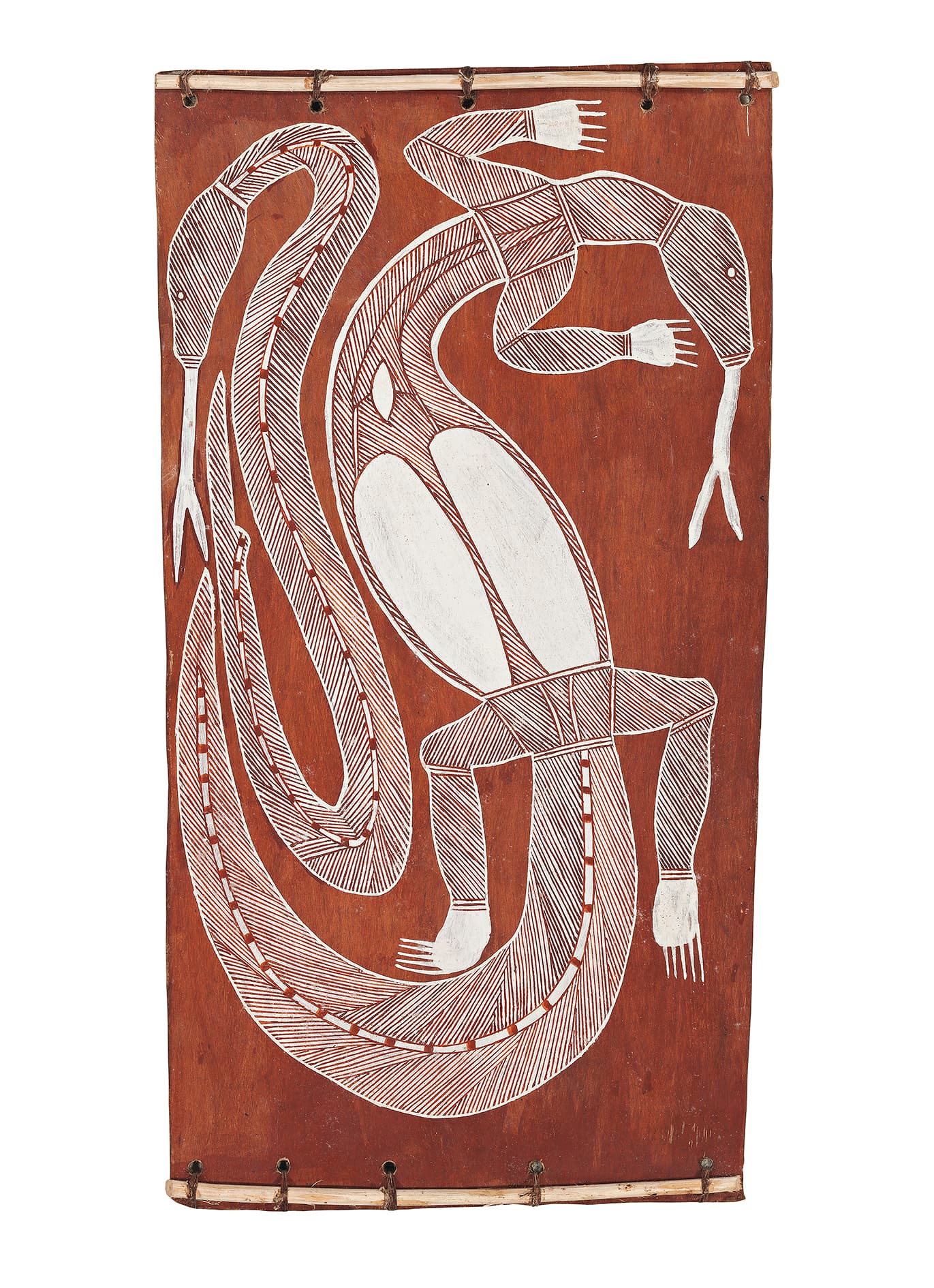 GOANNA AND FILE SNAKE