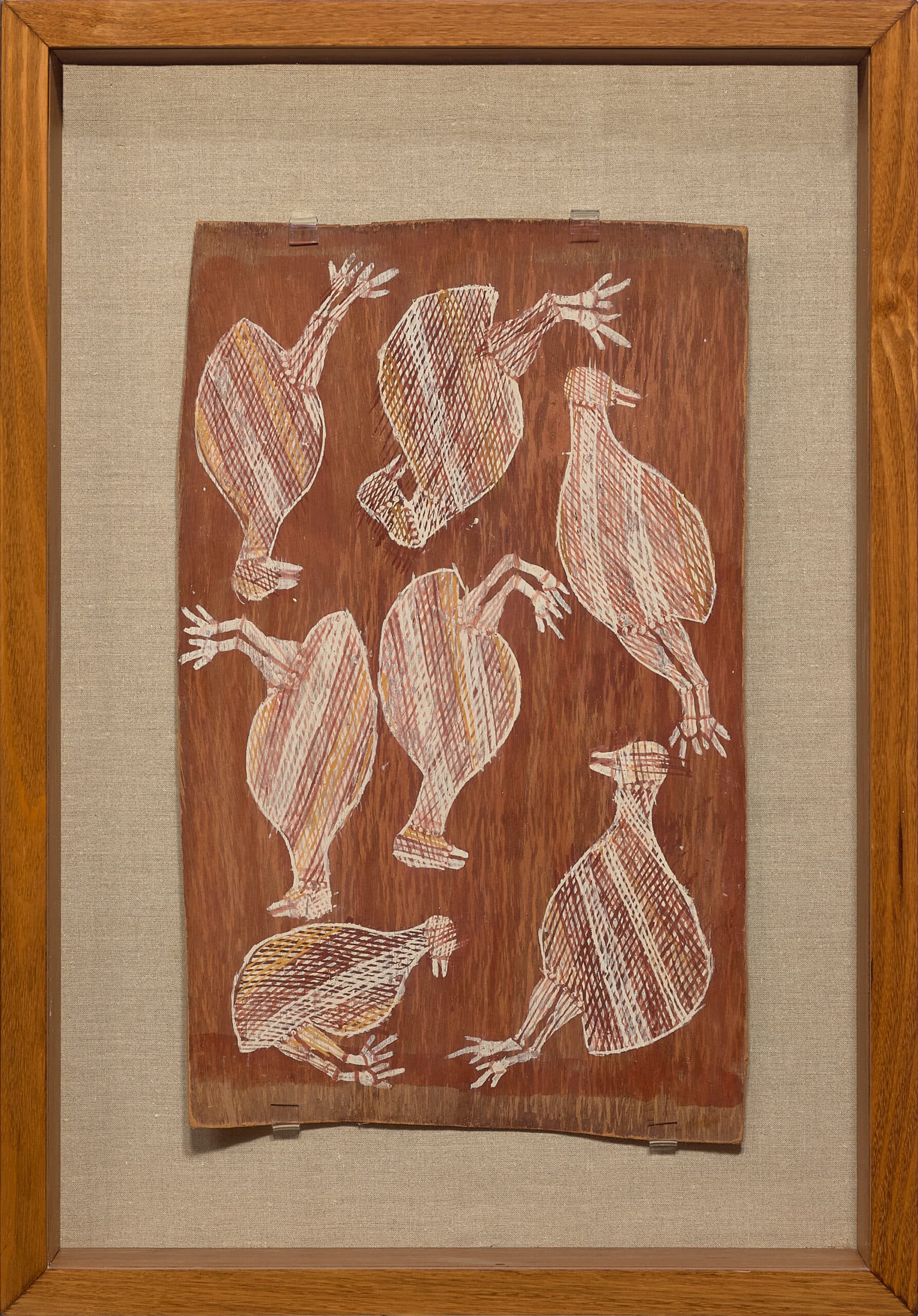 DABBARR (PARTRIDGE PIGEONS) [1994.13]