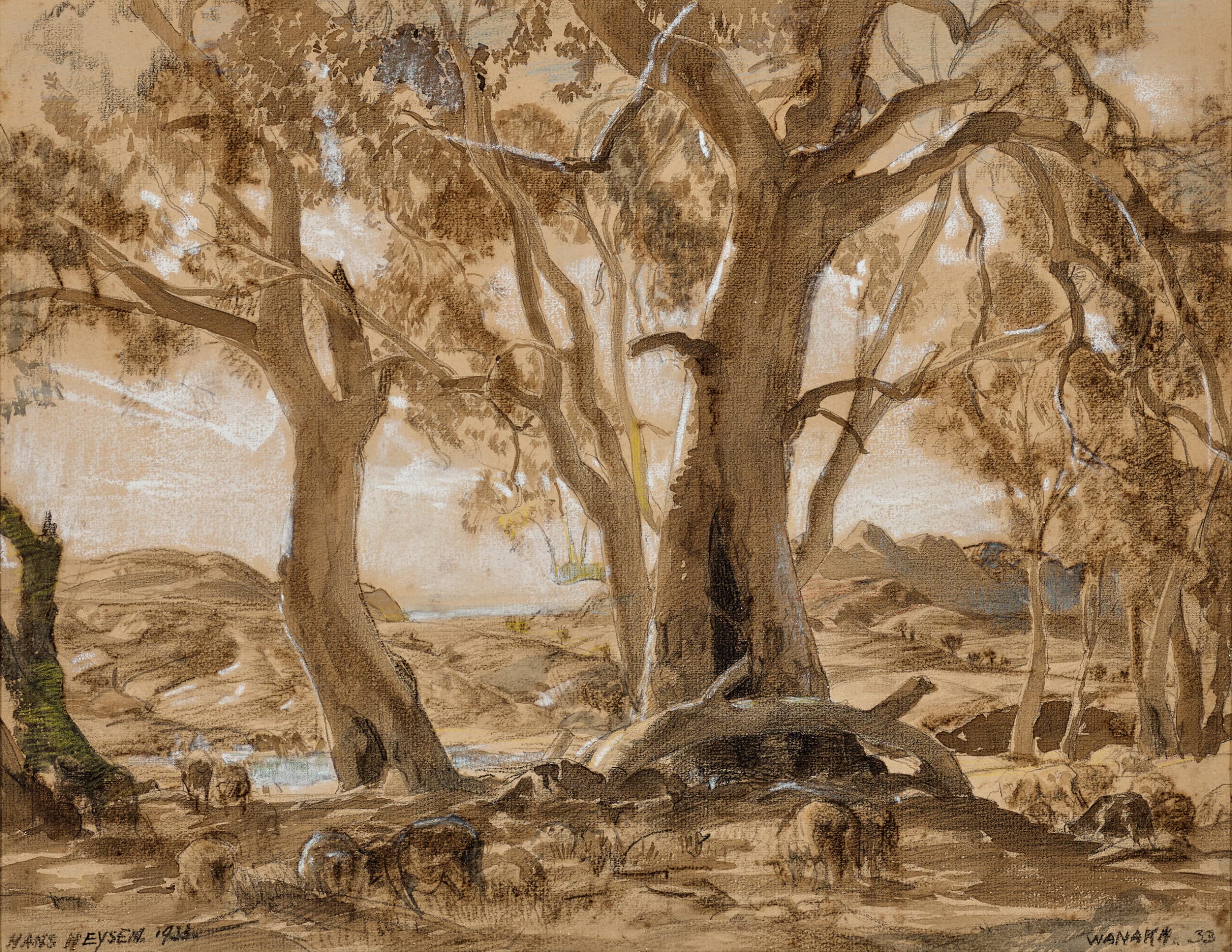 IN THE WANAKA COUNTRY, FLINDERS RANGES