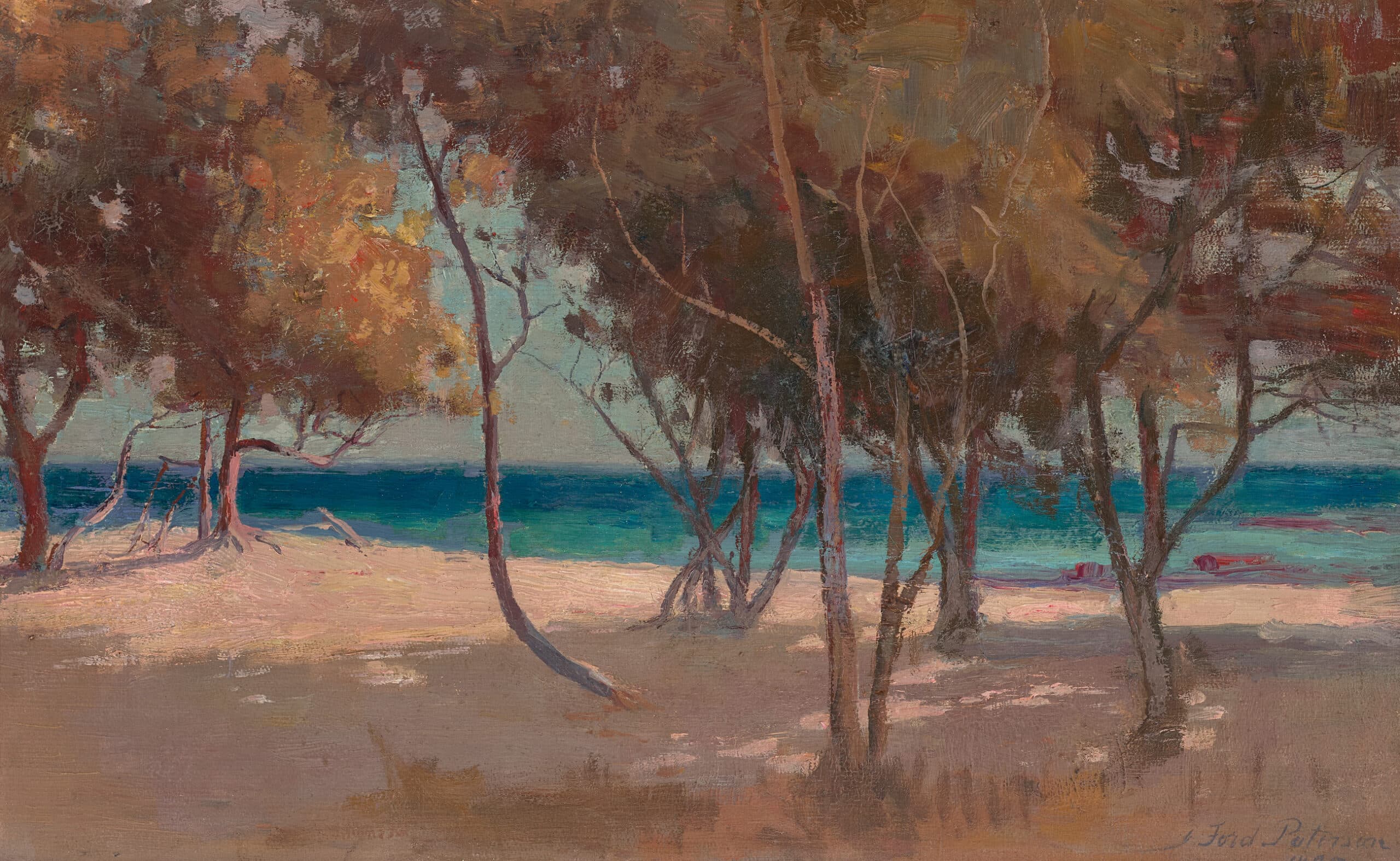 TI-TREE, BRIGHTON BEACH