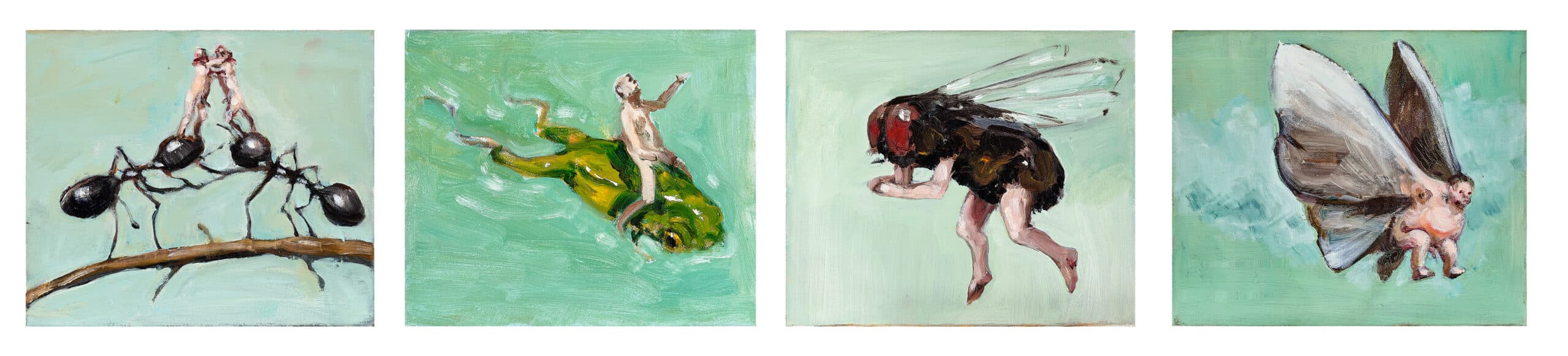 UNTITLED (ANTS), UNTITLED (FLY) AND UNTITLED (FROG)